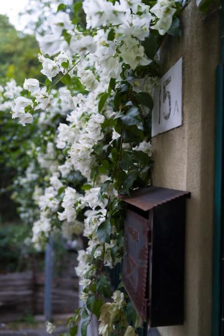 Genova Garden, Vicino Al Gaslini E Boccadasse公寓 外观 照片